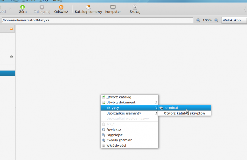 Plik:Ptawy terminal otworz folder.png