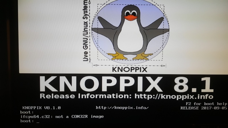 Plik:3583248122337831139.jpg